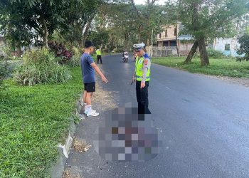 Kades Glanggang Pakisaji Tewas Kecelakaan Tunggal di Jalibar Kepanjen, Diduga Tabrak Median hingga Terpental 8 Kades Glanggang.