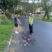 Kades Glanggang Pakisaji Tewas Kecelakaan Tunggal di Jalibar Kepanjen, Diduga Tabrak Median hingga Terpental 8 Kades Glanggang.