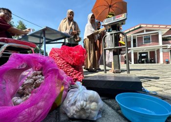 Harga bawang merah.