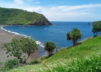 Pantai Payangan Jember.