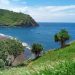 Panorama Cantik Pantai Payangan Jember, Tawarkan Surfing Asyik: Lokasi Dekat dengan Teluk Love hingga Pantai Papuma 8 Pantai Payangan Jember.