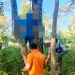 Batu BD