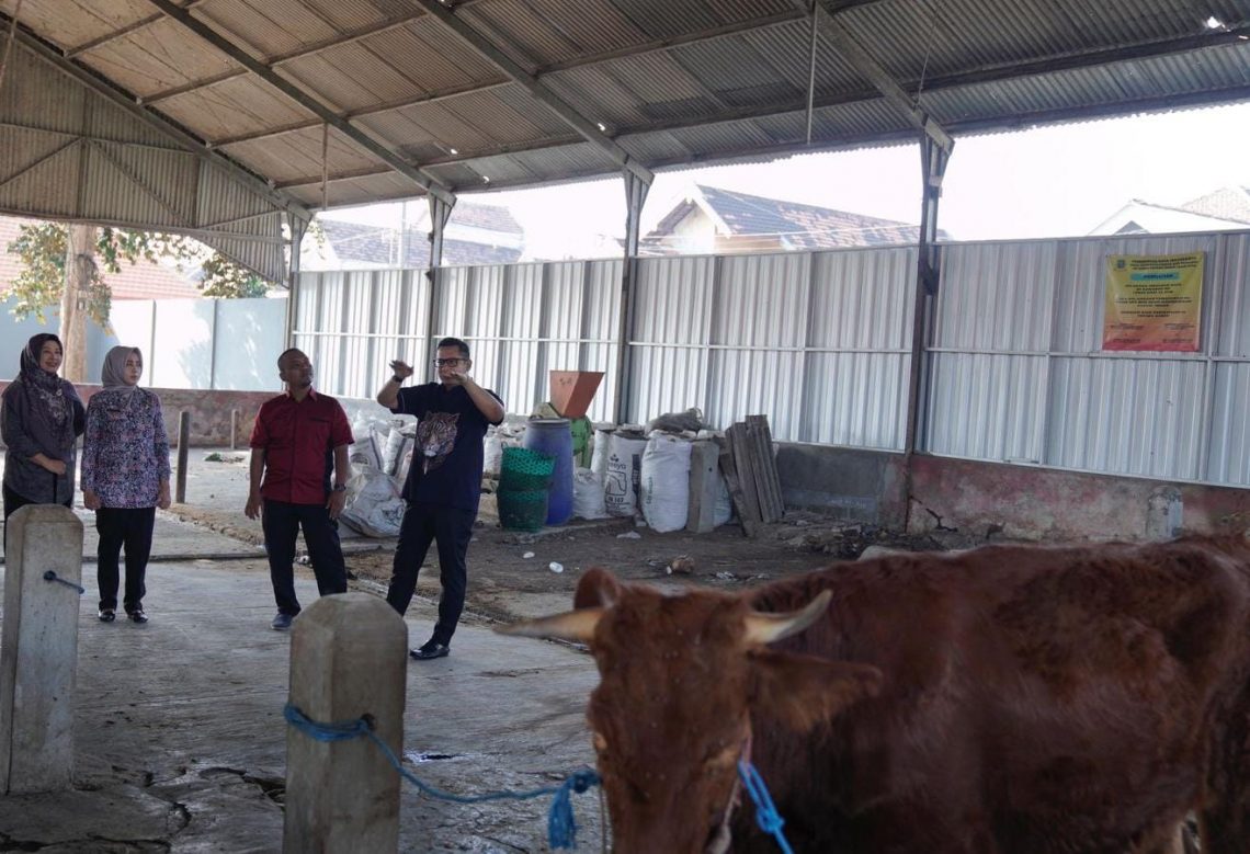Jelang Iduladha, Warga Kota Mojokerto Diminta Waspada PMK 1 hewan ternak
