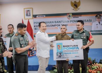 Jember