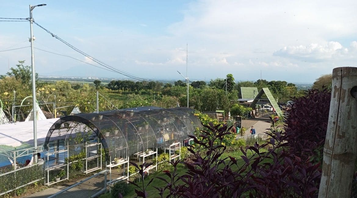 5 Wisata Pacet Terbaru yang Memikat saat Libur Panjang, Keluarga Senang Dijamin Anti Bosan 3 Wisata Pacet Terbaru tahun 2024.