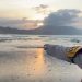 Empat Pelajar di Kabupaten Jember Terseret Ombak Pantai Payangan, Satu Korban Belum Ditemukan 13 Ombak Pantai Payangan.