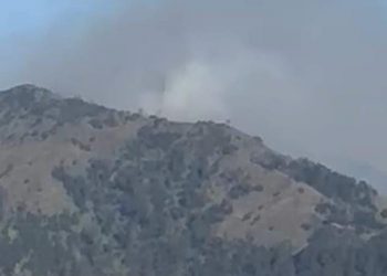 Kebakaran lahan konservasi Bromo.