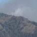 Kebakaran Lahan Konservasi Bromo Padam, Tumbuhan Akasia hingga Cemara Gunung Hangus 11 Kebakaran lahan konservasi Bromo.