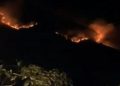 Kebakaran lahan Bromo.