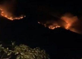 Kebakaran lahan Bromo.