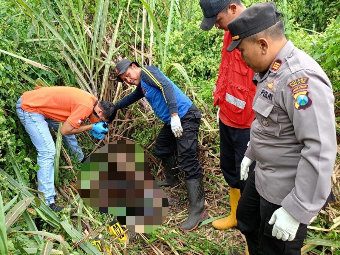 Penemuan Mayat Membusuk Nyaris Tersisa Kerangka di Lahan Tebu Pagelaran, Identitas Buram 1 Mayat membusuk.