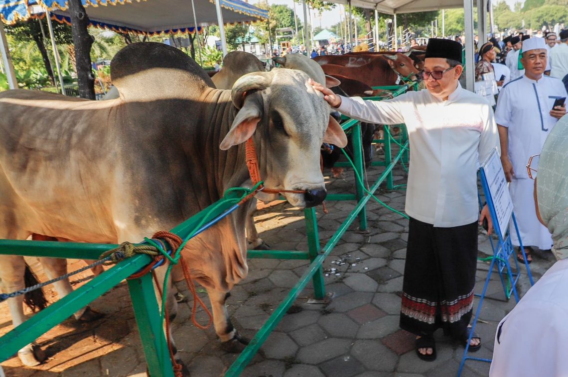 Ekonomi Membaik, Pemprov Jatim Klaim Jumlah Hewan Kurban Meningkat saat Iduladha 2024 1 hewan kurban.