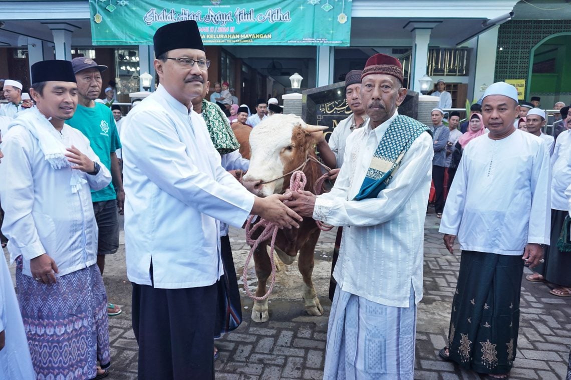 Gus Ipul Serahkan Hewan Kurban 83 Kambing dan 4 Sapi, Doakan Warga Pasuruan agar Segera Naik Haji 1 Hewan kurban.