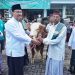 Gus Ipul Serahkan Hewan Kurban 83 Kambing dan 4 Sapi, Doakan Warga Pasuruan agar Segera Naik Haji 9 Hewan kurban.