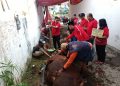 DPC PDI Perjuangan