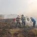 Lahan Kilang Minyak Pertamina Tuban Terbakar