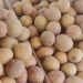 Manfaat Buah Sawo Untuk Kesehatan