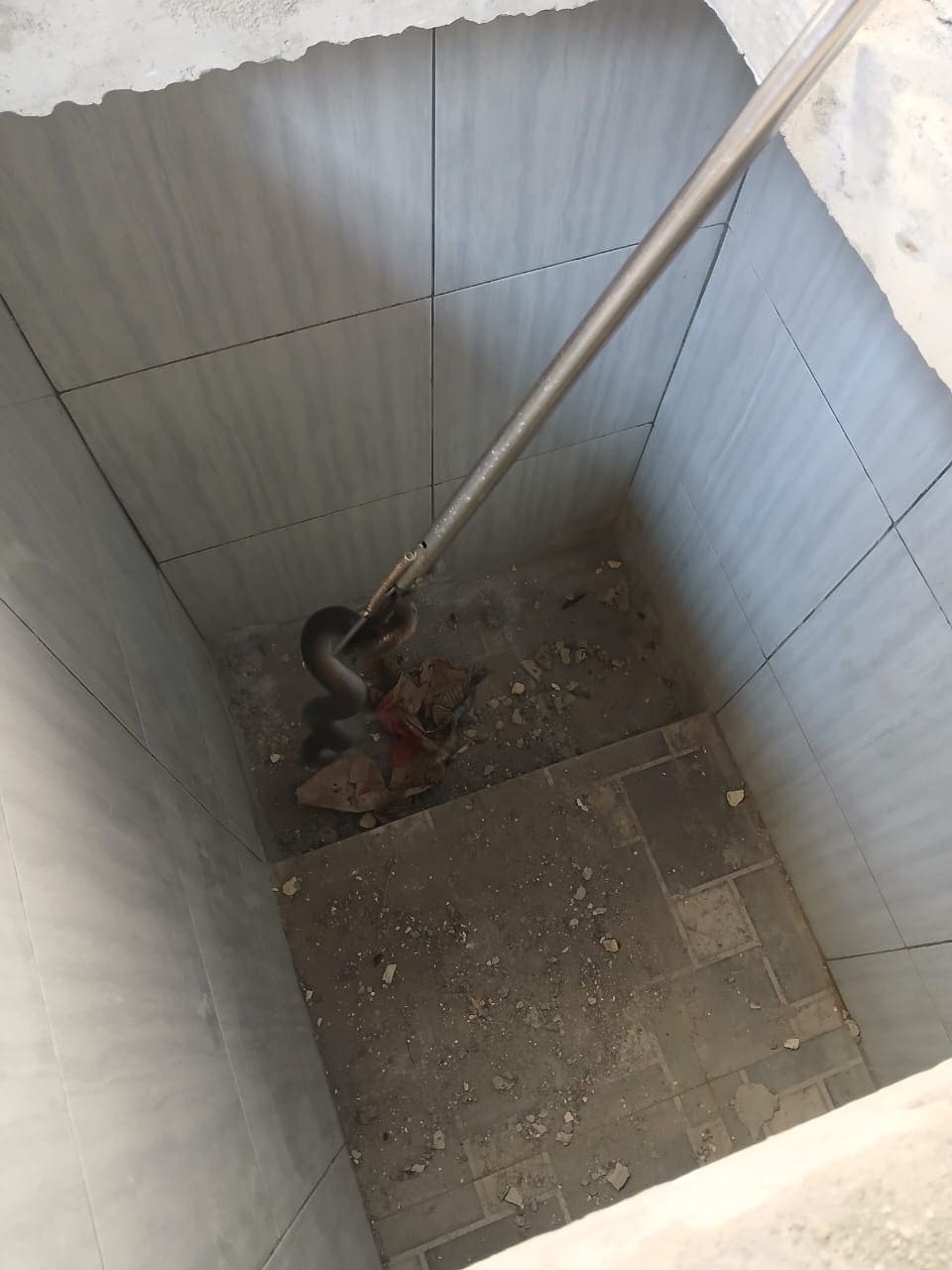 Ular Kobra Masuk Rumah Warga Tuban, Sembunyi di Dalam Septic Tank 2 Ular kobra di Tuban.