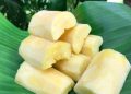 Oleh-oleh khas Jember.