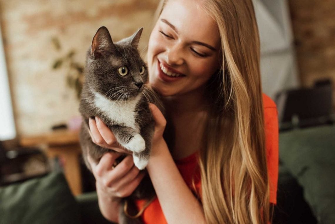 Cat Lovers Makin Cinta! 6 Jenis Kucing yang Populer 2024: Terkenal Ramah dan Menggemaskan 1 Jenis kucing.