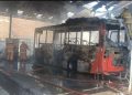 Bus Damri
