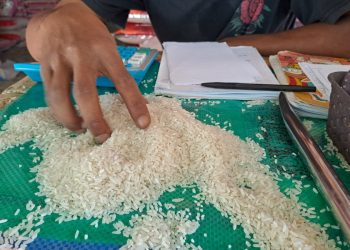 Harga beras.
