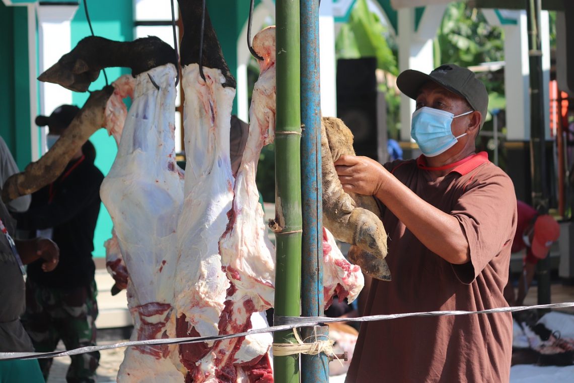 Daging Sapi