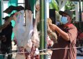 Daging Sapi