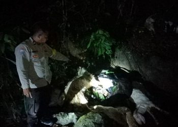Warga Temukan Puluhan Bangkai Kambing di Jurang Gumitir Jalur Jember-Banyuwangi, Apa Penyebabnya? 1 Bangkai kambing.