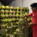 Tak Tepat Sasaran, Bupati Jember Temui Hotel hingga Kafe Pakai LPG Subsidi 12 LPG subsidi.