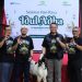 Semarak Idul Adha, PT Pegadaian Kanwil XII Surabaya Berqurban 70 Ekor Kambing dan 20 Ekor Sapi 9 Hari Raya Kurban