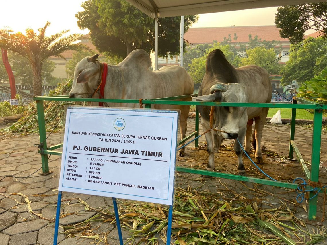 Hewan Kurban