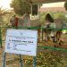 Hewan Kurban di Masjid Al-Akbar Surabaya Disembelih H+1 Iduladha 2024 8 Hewan Kurban
