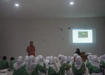 Itto Hutan