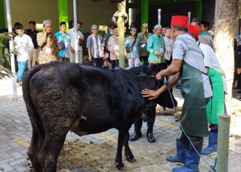 juru sembelih