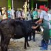 Juru Sembelih di Kota Mojokerto Digembleng Pelatihan Jelang Iduladha 8 juru sembelih
