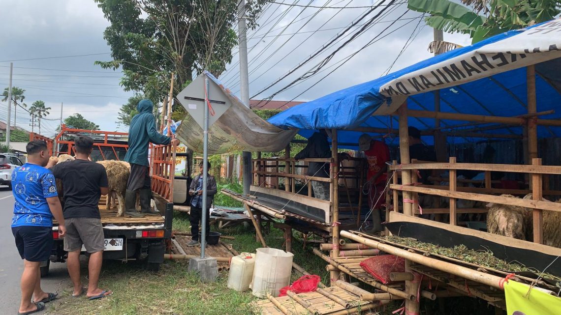 Ide Bisnis Menguntungkan Saat Idul Adha