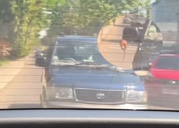 Pengendara Mobil