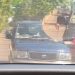 Polisi Buru Pengendara Mobil Acungkan Celurit yang Viral di Surabaya 16 Pengendara Mobil