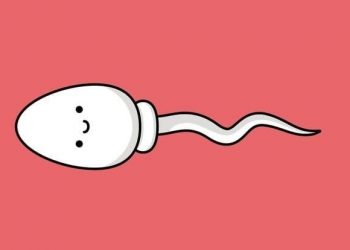 mitos tentang sperma