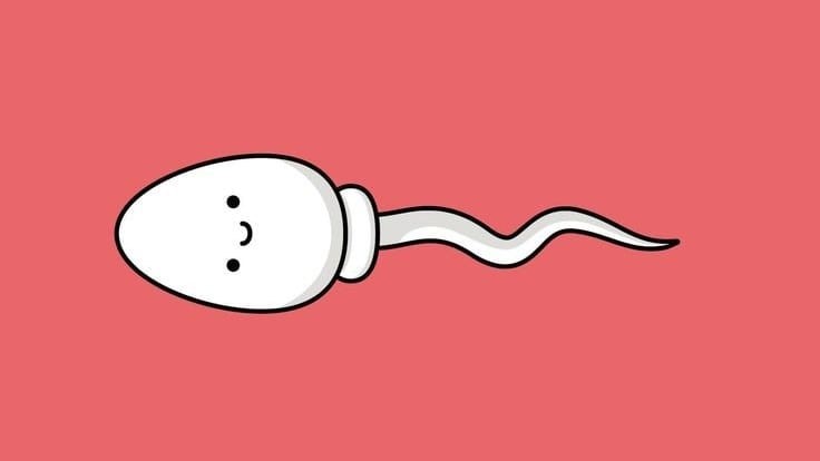 Ini 3 Mitos Tentang Sperma, Nomor 2 Bikin Langsung Olahraga 5 mitos tentang sperma