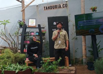 Tanduria1