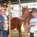 5 Kali Jadi Kepala Instansi di Jatim, Fattah Jasin Berpeluang Jadi Bupati Pamekasan 8 Fattah Jasin.