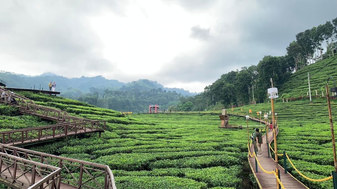Green Tourism Di Kabupaten Jember, Solusi Atasi Sampah Pasca Event di Lokasi Wisata 1 green tourism di Kabupaten Jember