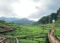 green tourism di Kabupaten Jember