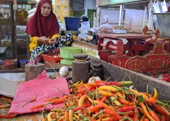 Harga cabai.