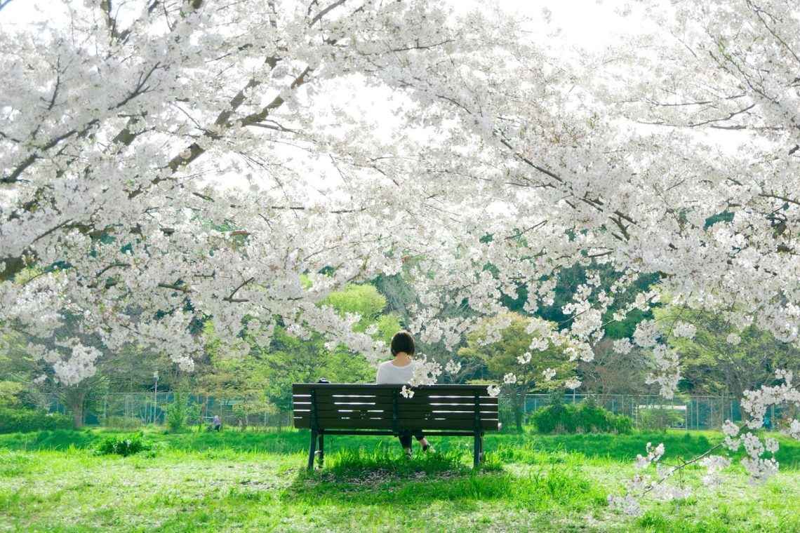 7 Kebiasaan Baik Orang Jepang yang Bisa Kita Terapkan di Keseharian 1 Kebiasaan Baik Orang Jepang
