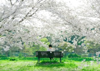 Kebiasaan Baik Orang Jepang
