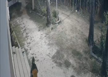 Aksi Maling Gondol Kotak Amal dan Kompor Terekam CCTV di Masjid Supangat Tuban