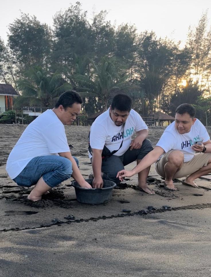 Pegadaian Kanwil XII Surabaya Beri Bantuan Tempat Penetasan Telur Penyu di Pantai Taman Kili-Kili 8 telur penyu